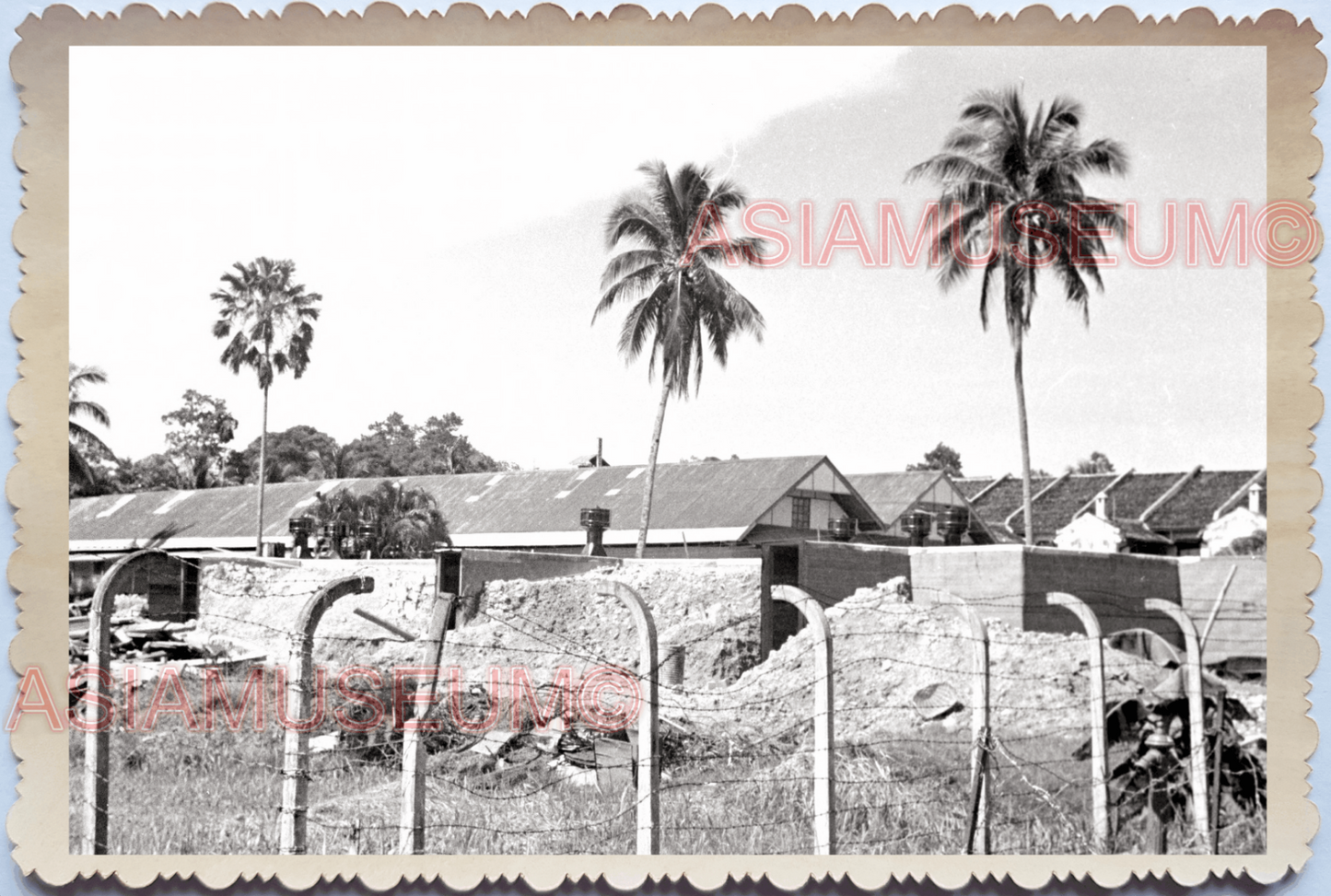 WW2 Village Coconut Tree Hut War Barrack British Vintage Singapore Photo 26245