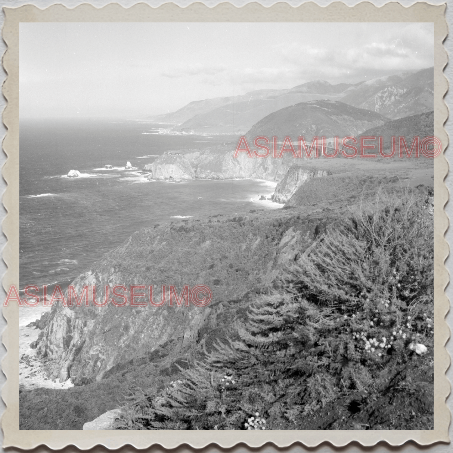 50s BIG SUR CITY CALIFORNIA CARMEL SAN SIMEON PACIFIC OCEAN OLD USA Photo 11917