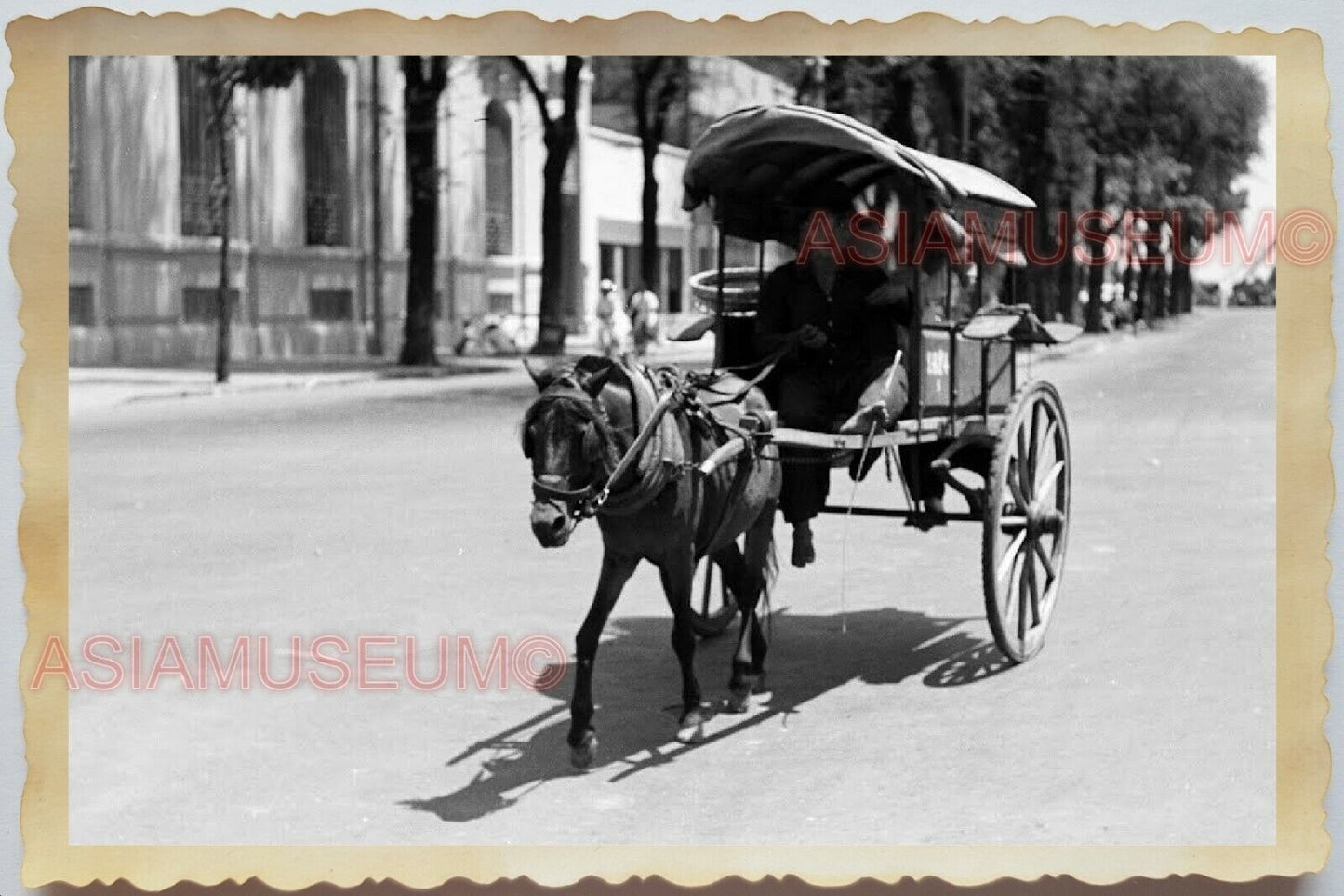 50s Vietnam War Saigon Street Scene Horse Chariot French Road Vintage Photo #929