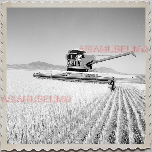 50s CASCADE COUNTY MONTANA MAN FARMER HARVESTING USA AMERICA VINTAGE Photo 11718