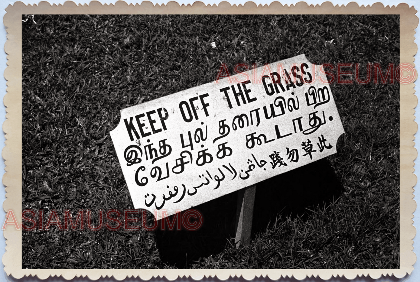 WW2 Ads Sign Board Grass Japanese Invasion War  Vintage Singapore Photo 17790