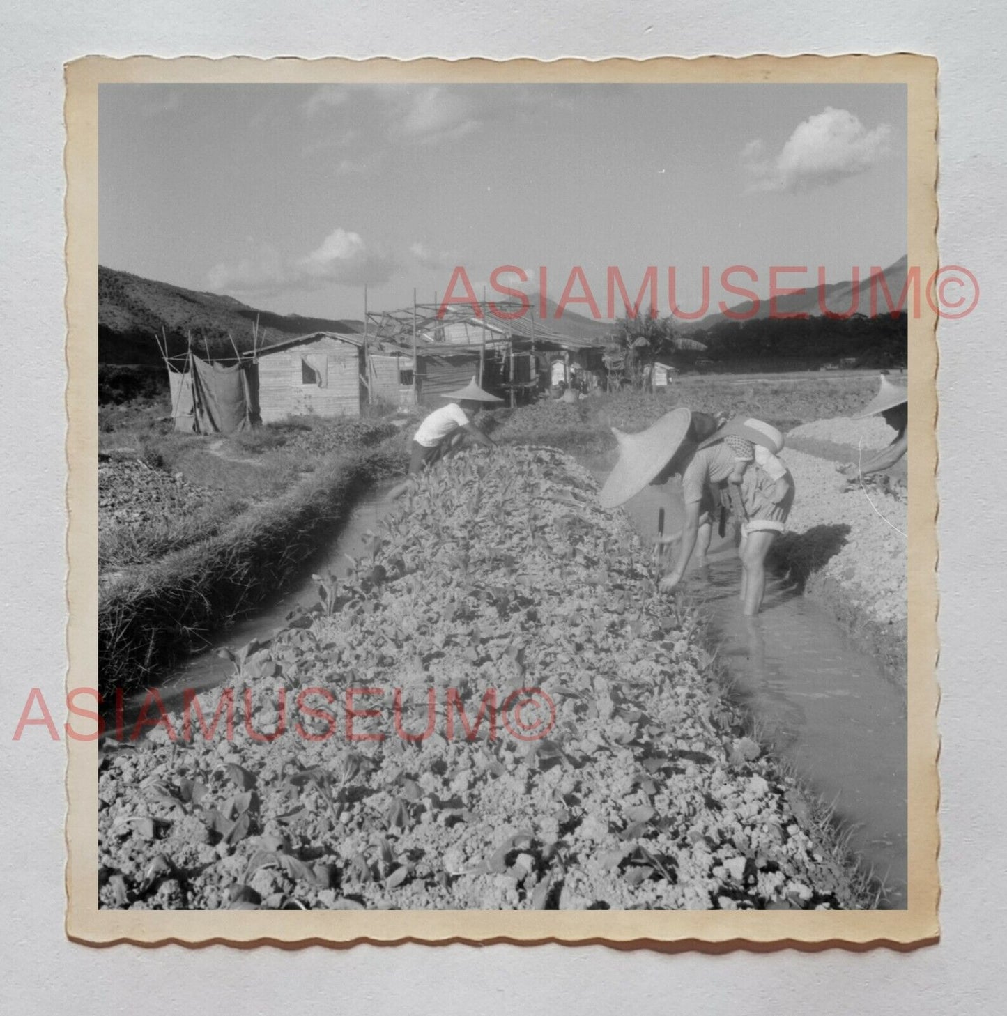 MAN BOY TAI O FARMER VILLAGE BABY WOMEN  B&W Vintage Hong Kong Photo 29807 香港旧照片