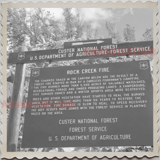 50s YELLOWSTONE NATIONAL PARK WYOMING PARK INFORMATION SIGN OLD USA Photo 11650