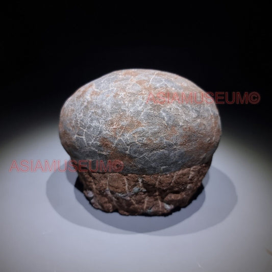 Dinosaur Egg Nest Dendrolithus Hadrosaur Duckbill Fossil Jurassic Park World GU3