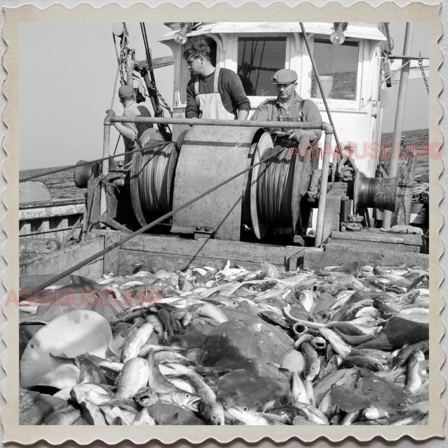 50s GLOUCESTER HARBOR ESSEX MASSACHUSETTS FISHING BOAT FISH OLD USA Photo 8326