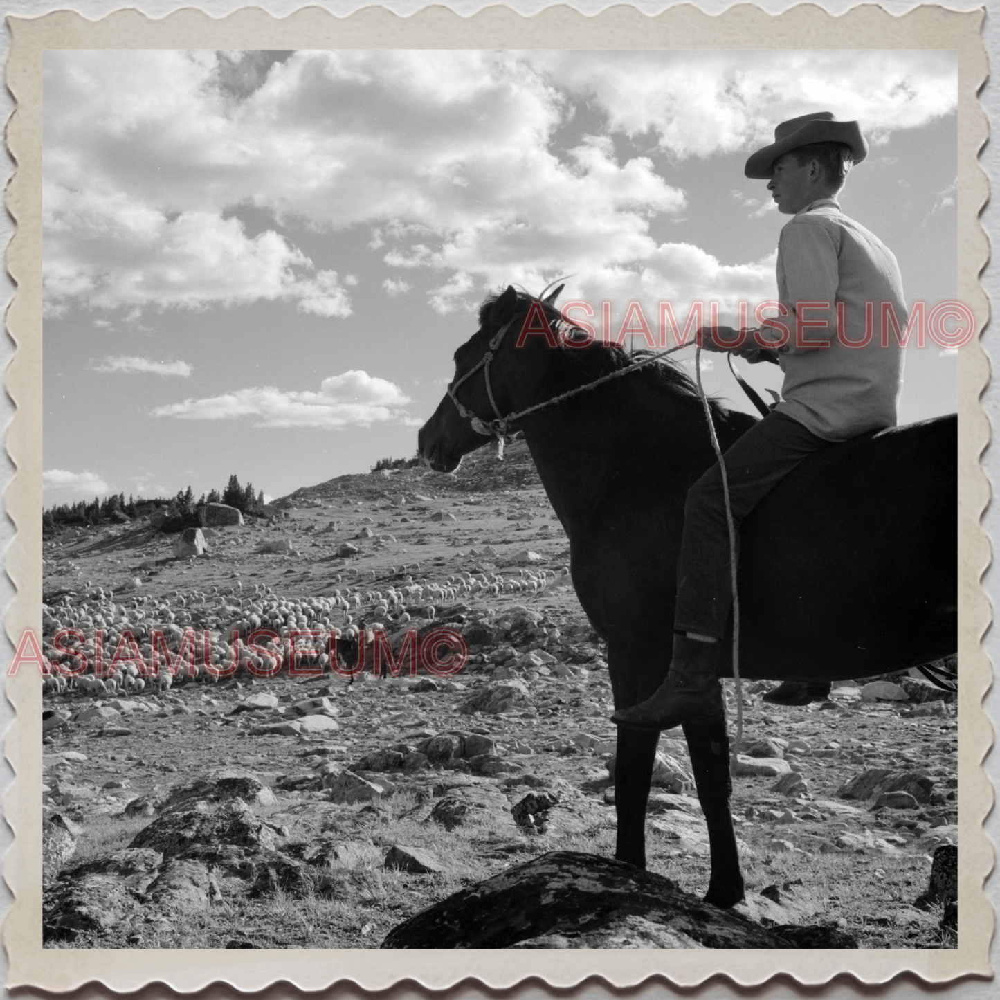 50s PARK COUNTY LIVINGSTON MONTANA YELLOWSTONE HORSE MAN VINTAGE USA Photo 10689