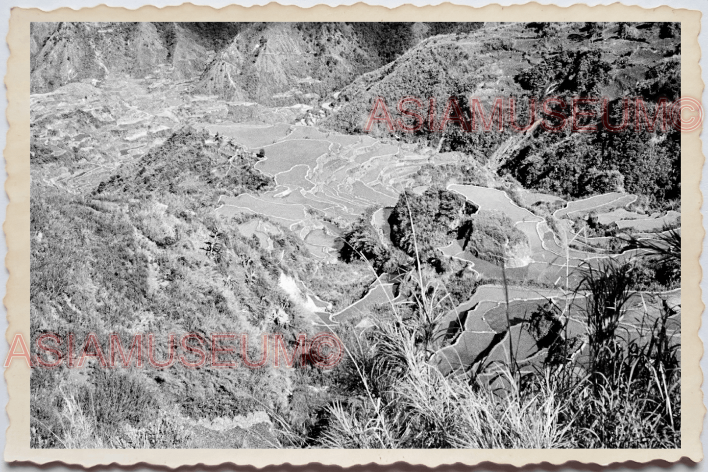 50s PHILIPPINES LUZON IFUGAO BANAUE MOUNTAIN RICE TERRACE Vintage Photo 24367