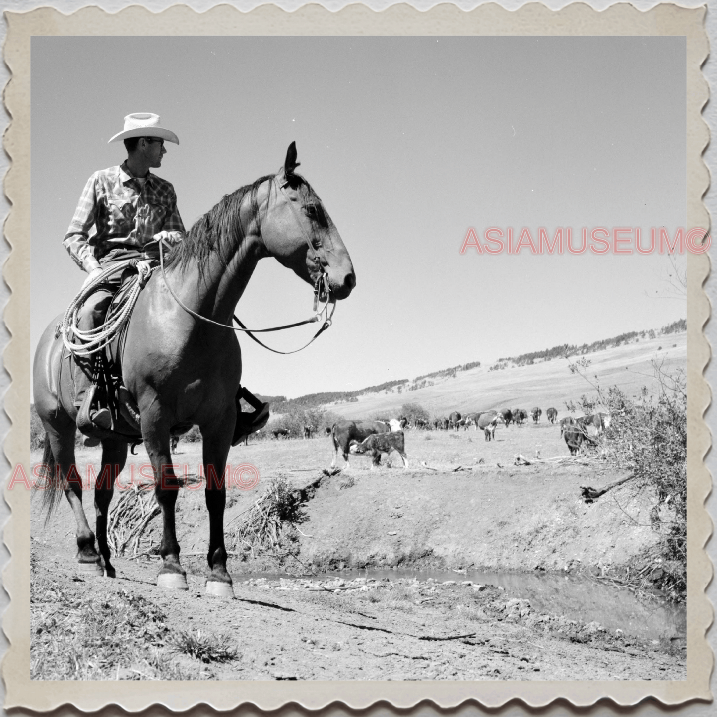 40s AUGUSTA KRONE RANCH COWBOY HORSE USA OLD AMERICA UNITED STATES Photo S8378