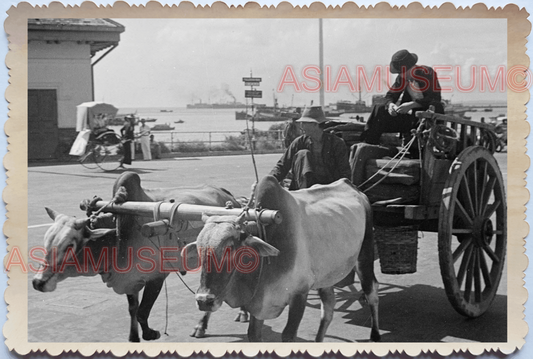 WW2 Street Scene Bullock Cart Oxen Rickshaw Pier Vintage Singapore Photo 17602