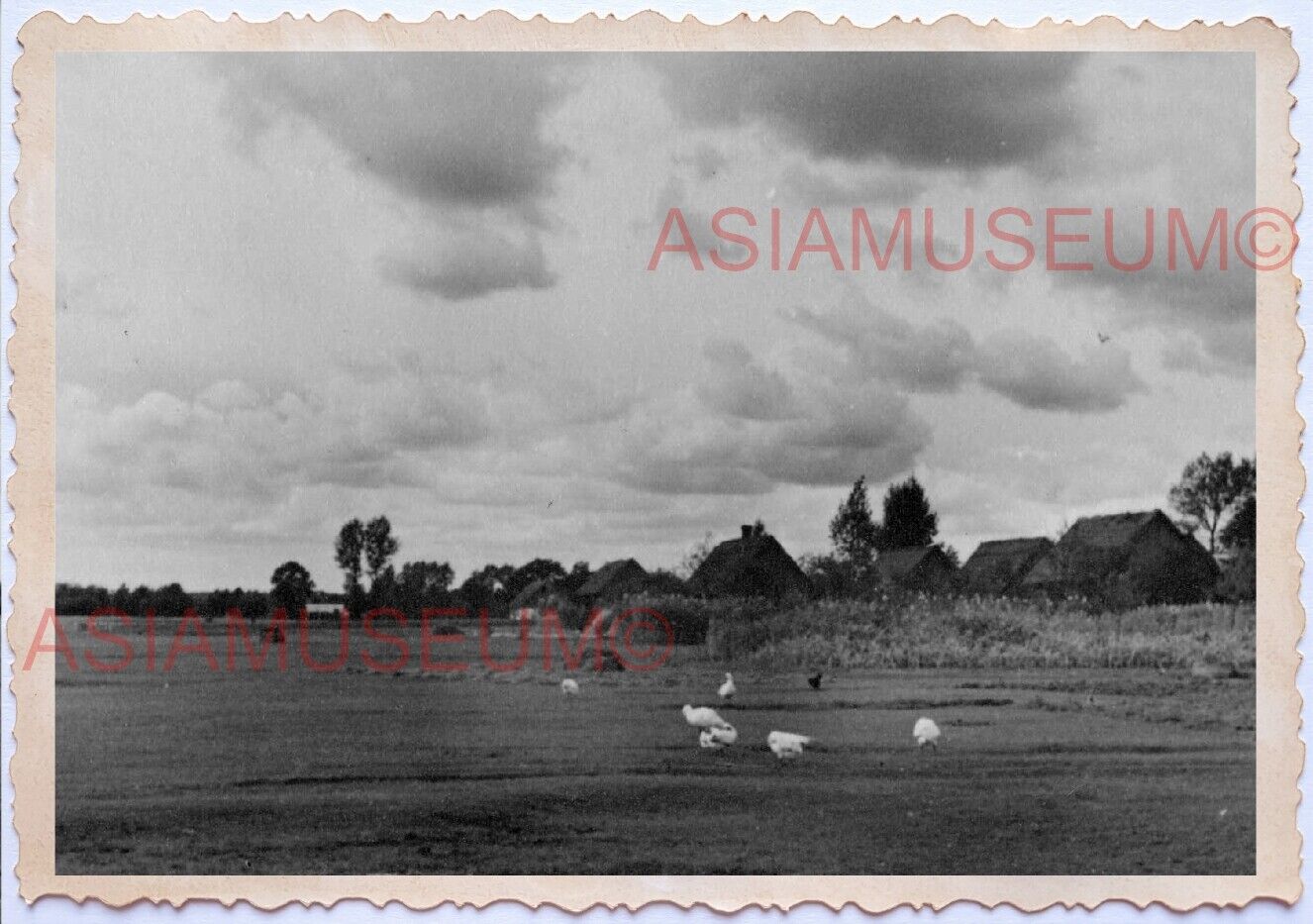 WWii D-DAY NORMANDY EUROPE ARMY Soldier Farm Village Chicken Barn war Photo A92