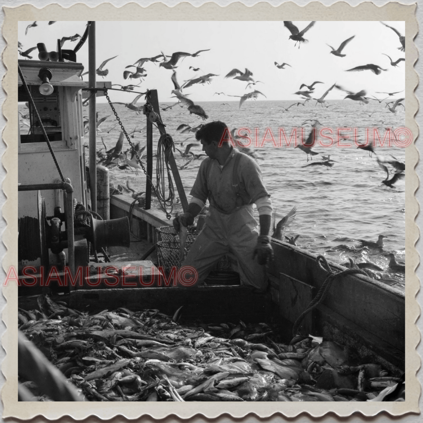 50s GLOUCESTER HARBOR ESSEX MASSACHUSETTS FISHERMAN FISH VINTAGE USA Photo 12076