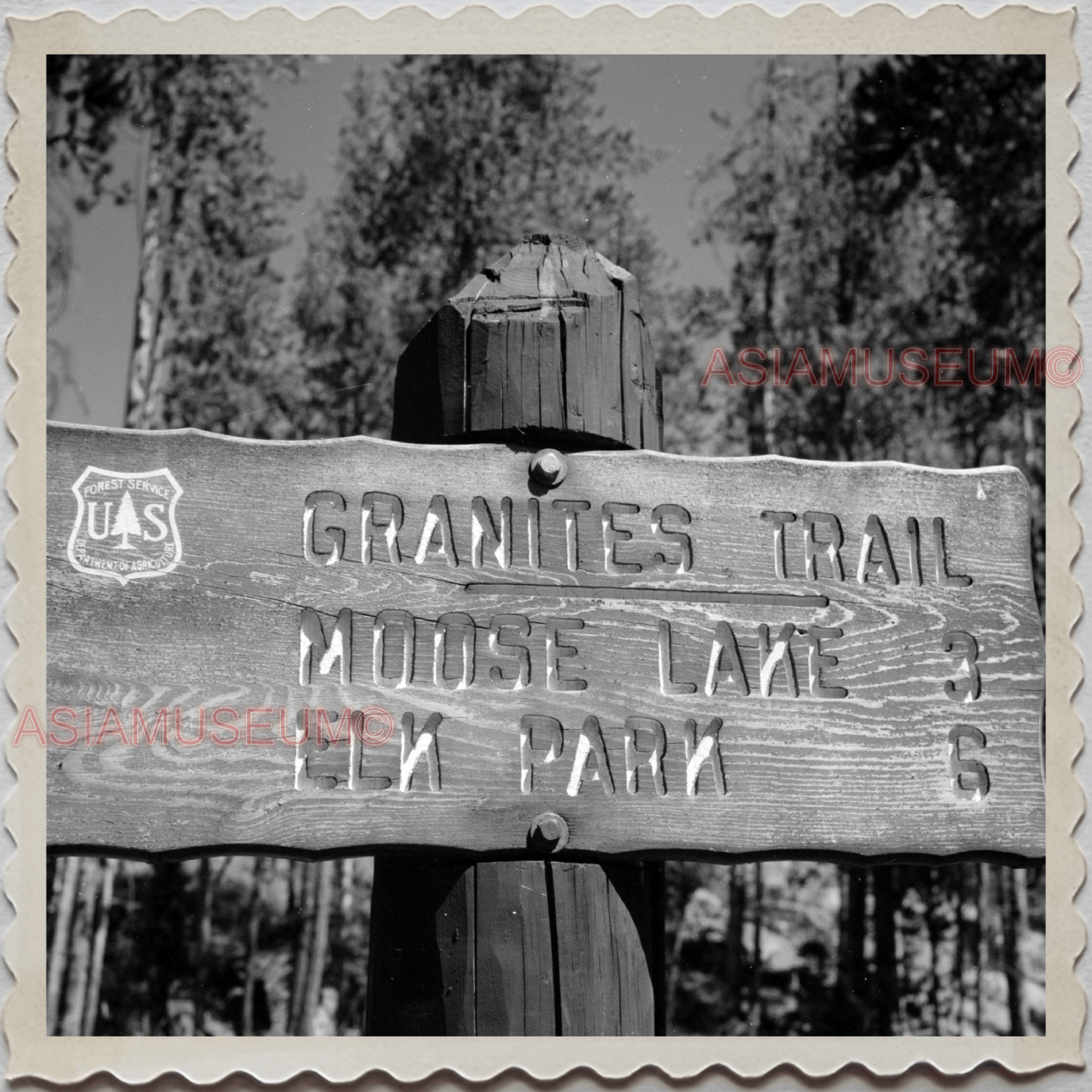 50s YELLOWSTONE NATIONAL PARK WYOMING MONTANA TRAIL SIGN VINTAGE USA Photo 8548