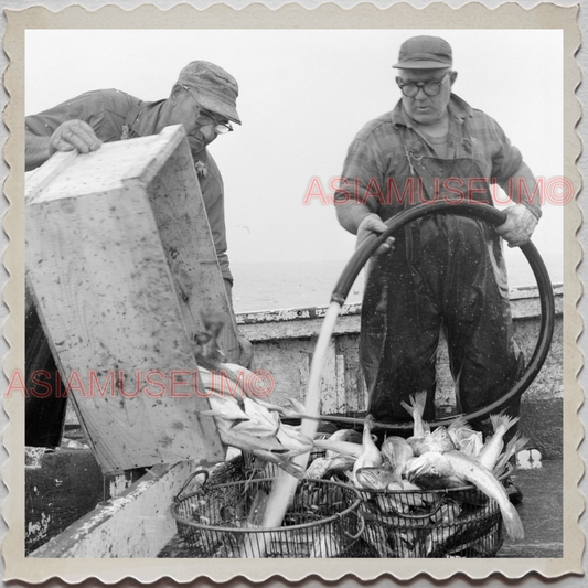 50s GLOUCESTER HARBOR ESSEX MASSACHUSETTS FISHERMAN FISH VINTAGE USA Photo 11759