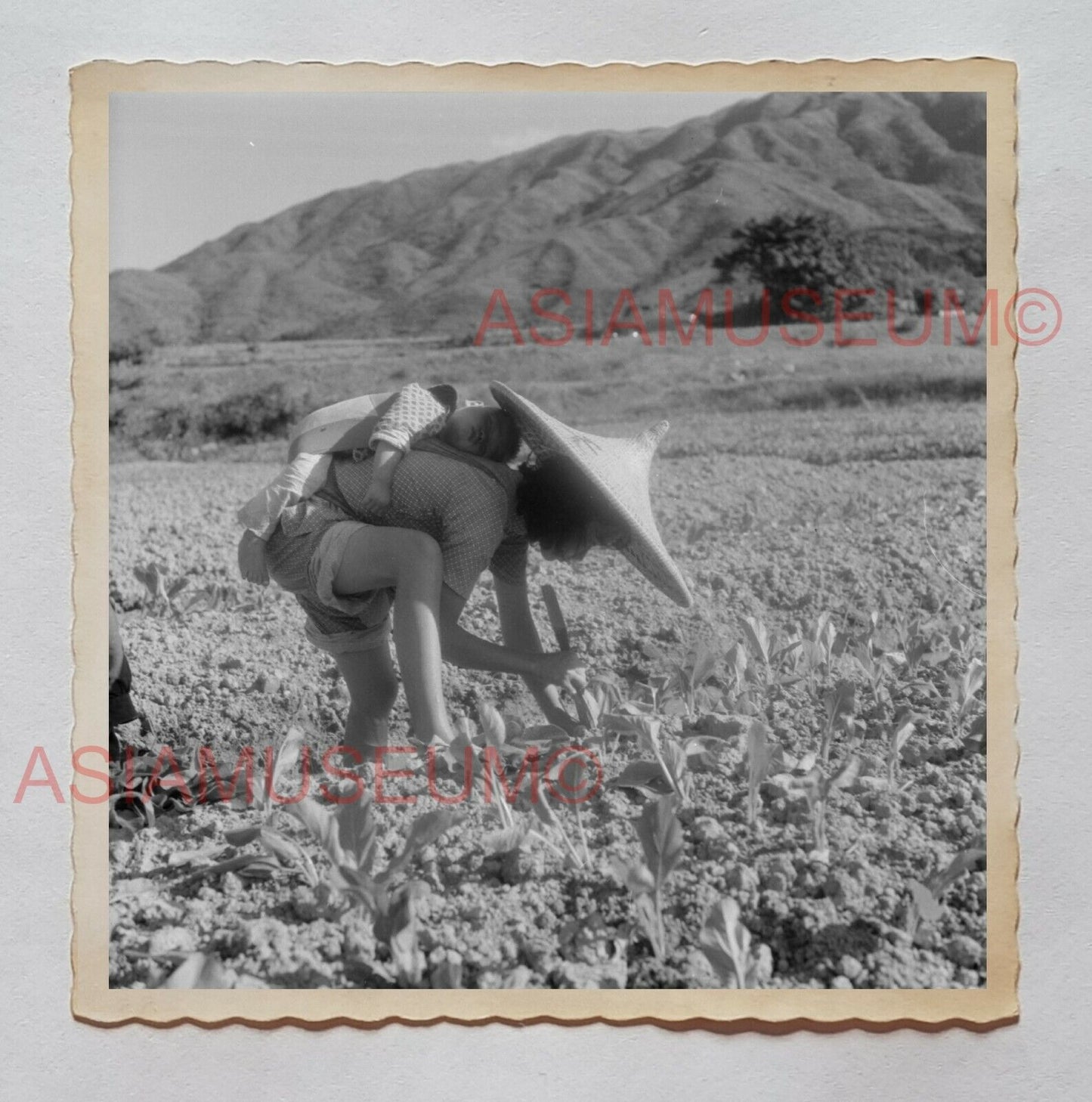 WOMEN LADY FARMER VILLAGE BABY VEGETABLES Vintage Hong Kong Photo 27353 香港旧照片