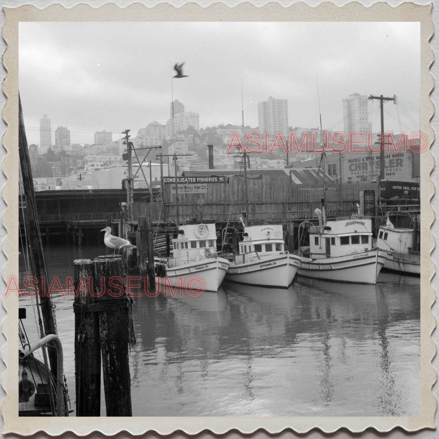 50s SAN FRANSCISCO CALIFORNIA BOAT YATCH HARBOR SKYLINE VINTAGE USA Photo 11665