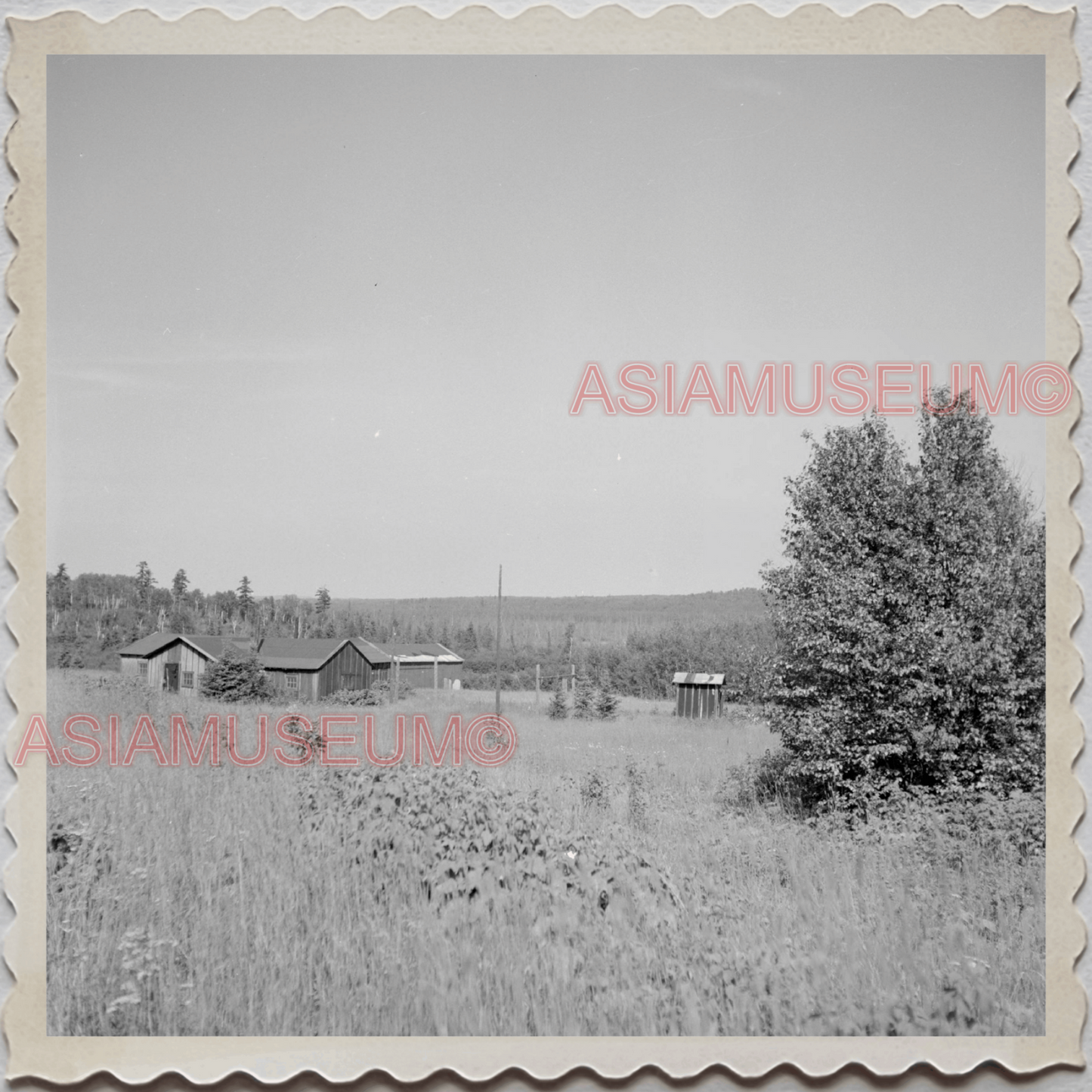 50s LITTLE MARAIS LAKE SUPERIOR COUNTY MINNESOTA WOODS HOUSE OLD USA Photo 10307