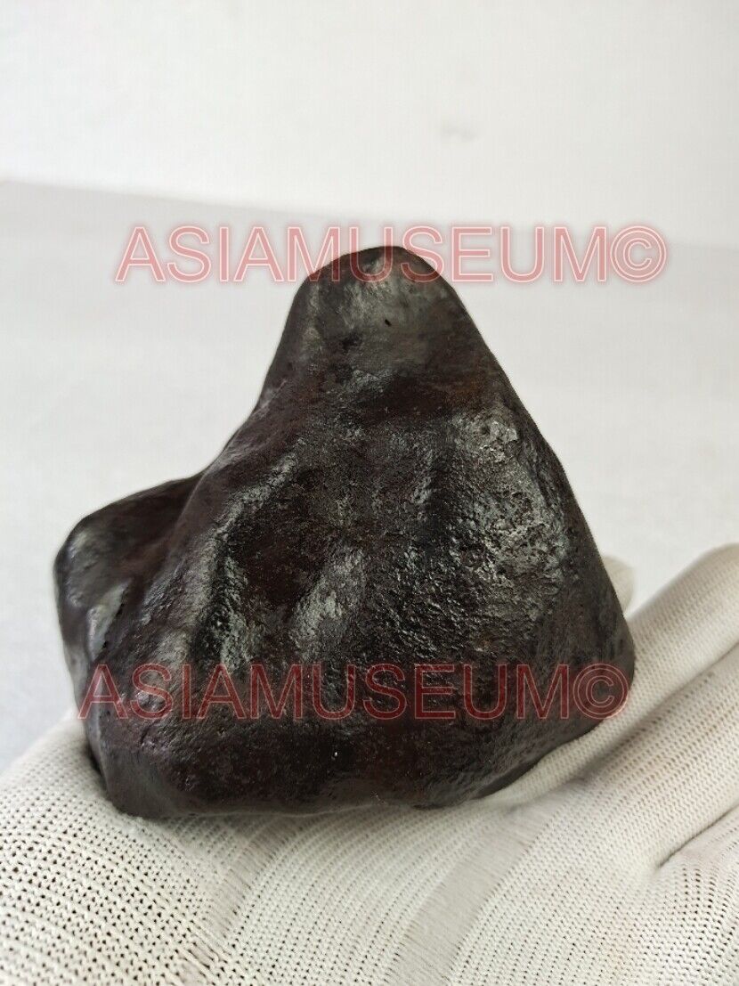 1400 Gram IRON NICKEL METEORITE Crystal Meteor Aerolite NANTAN china nugget #41