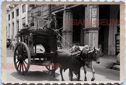 40s Street Scene Bullock Cart Oxen British Shop Vintage Singapore Photo 17665