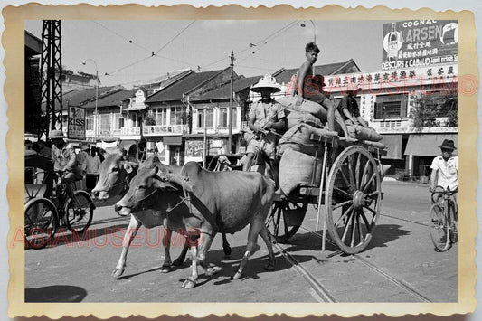 50s Vietnam SAIGON HO CHI MINH STREET SCENE BULLOCK CART COW Vintage Photo 1389