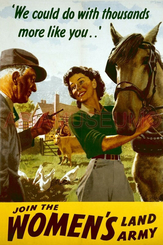 1943 WW2 USA AMERICA WOMEN LAND ARMY HORSE FARM COW CHICKEN PROPAGANDA Postcard