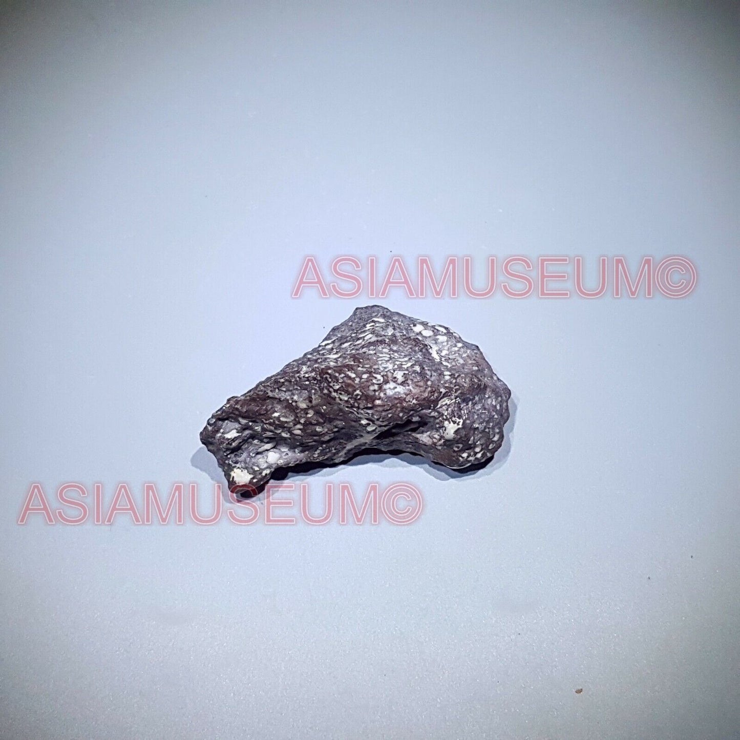 160g Inner Mongolia Naiman IRON NICKEL METEORITE Crystal Meteor Aerolite J2