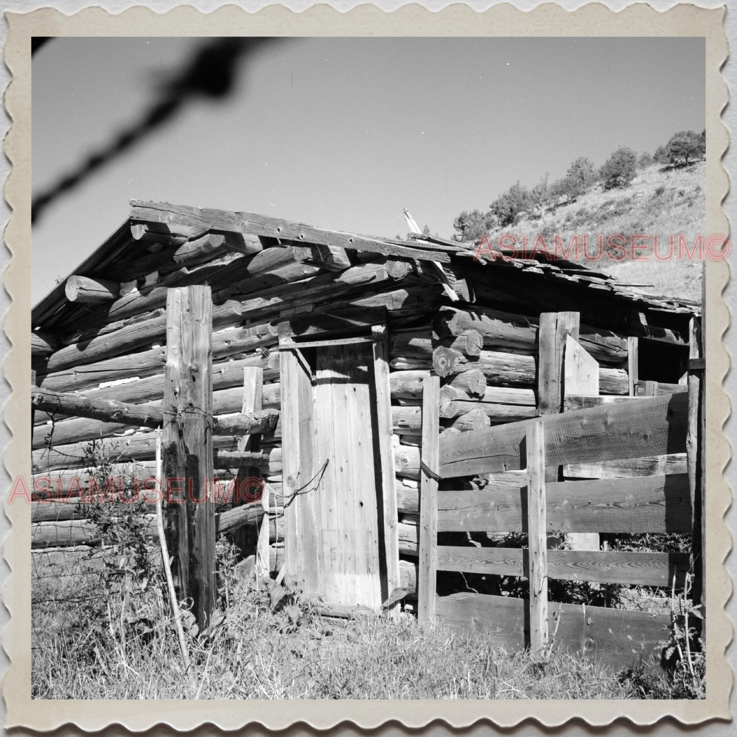 50s CASCADE COUNTY MONTANA MAN LOG CABIN HOUSE AMERICA VINTAGE USA Photo 8545