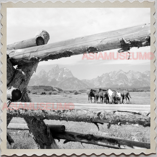 50s GRAND TETON NATIONAL PARK JACKSON HOLE WYOMING FENCE WOOD OLD USA Photo 8636