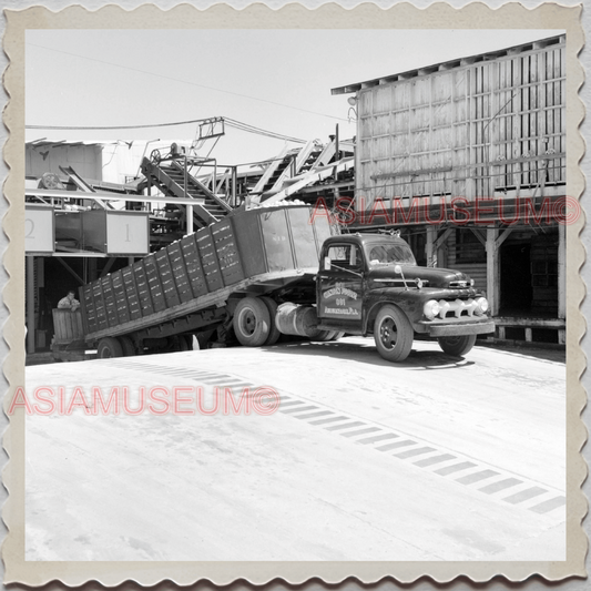 50s FROSTPROOF FLORIDA FRUITS FACTORY TRUCK CAR VINTAGE USA AMERICA Photo 11086