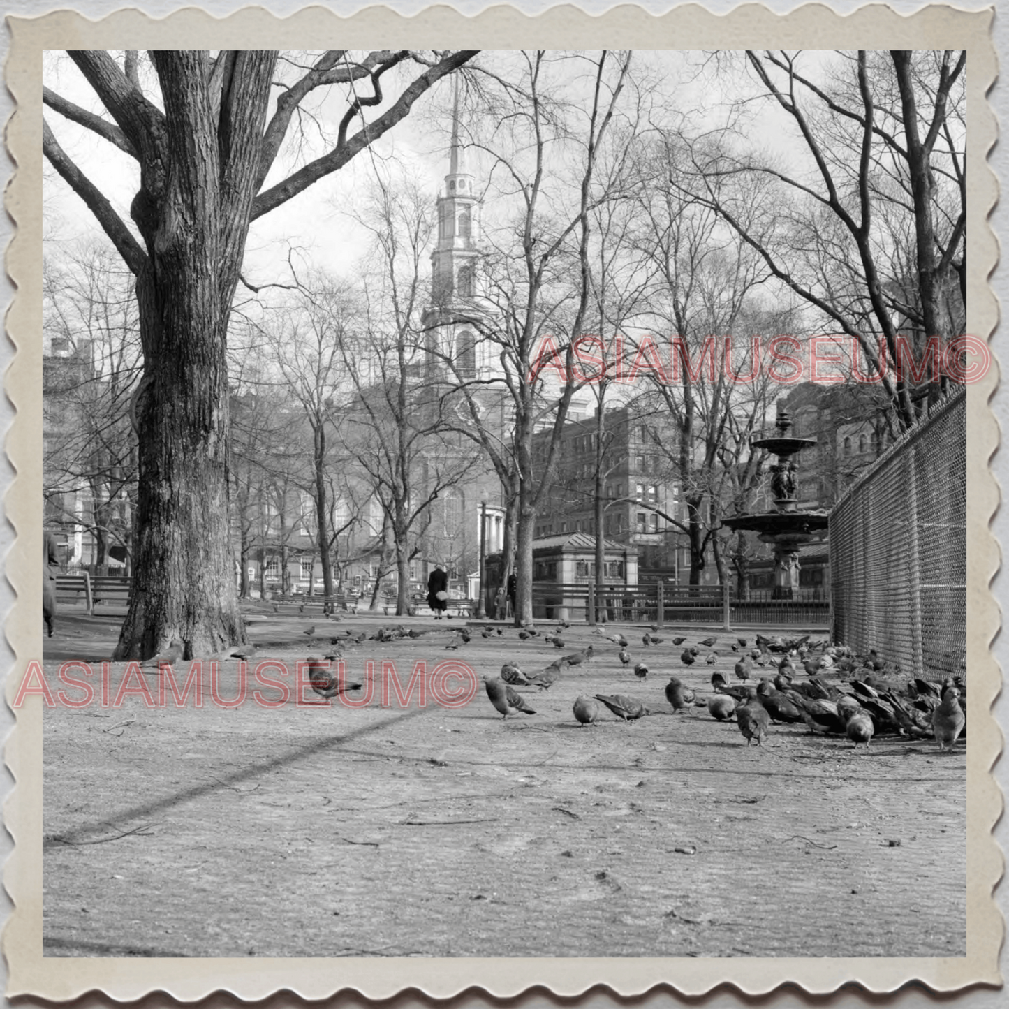 50s BOSTON MASSACHUSETTS NEW ENGLAND COMMON BIRD PARK OLD VINTAGE USA Photo 8686