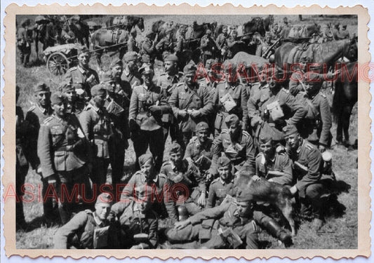 WWii D-DAY NORMANDY EUROPE Group ARMY Soldier Gay Horse Calvary Man Photo B073