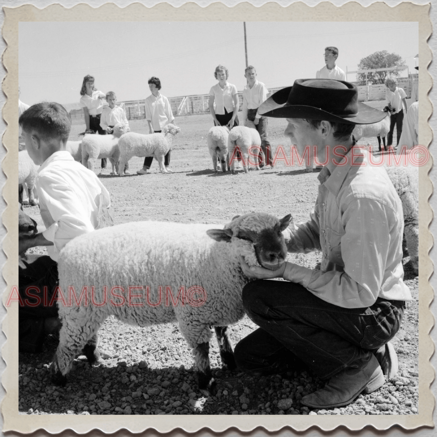 50s HARDIN TOWN BIG HORN COUNTY MONTANA SHEEP 4K SHOW MAN VINTAGE USA Photo 9740