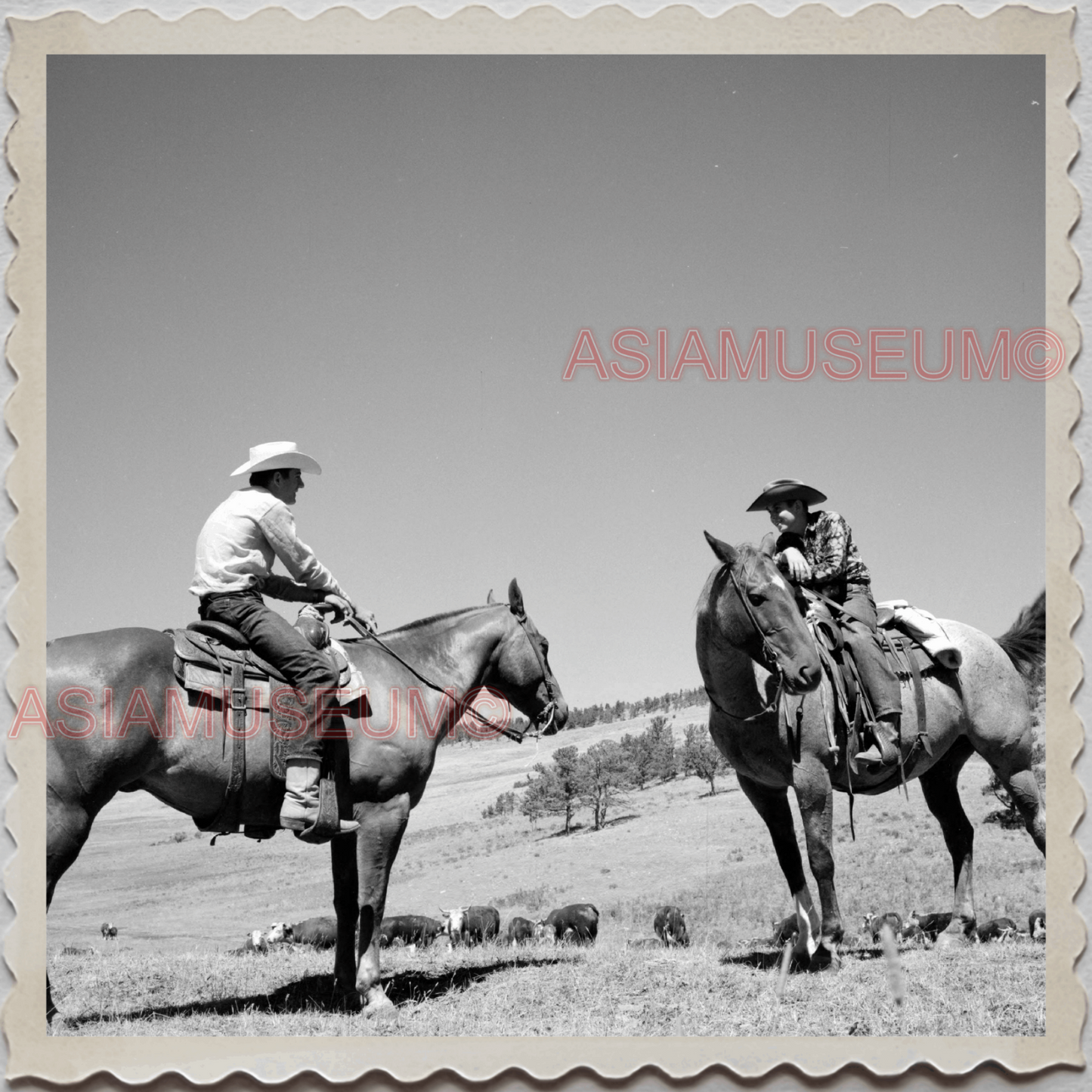 50s AUGUSTA KRONE RANCH COWBOY HORSE COW BOY VINTAGE OLD USA AMERICA Photo 11947