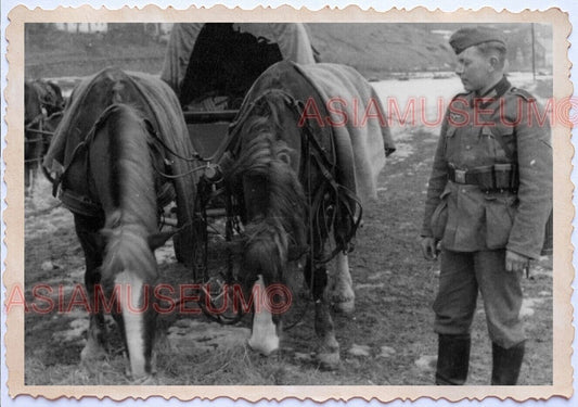 WWii D-DAY NORMANDY EUROPE Military Horse Chariot Soldier Army Axis Photo B8