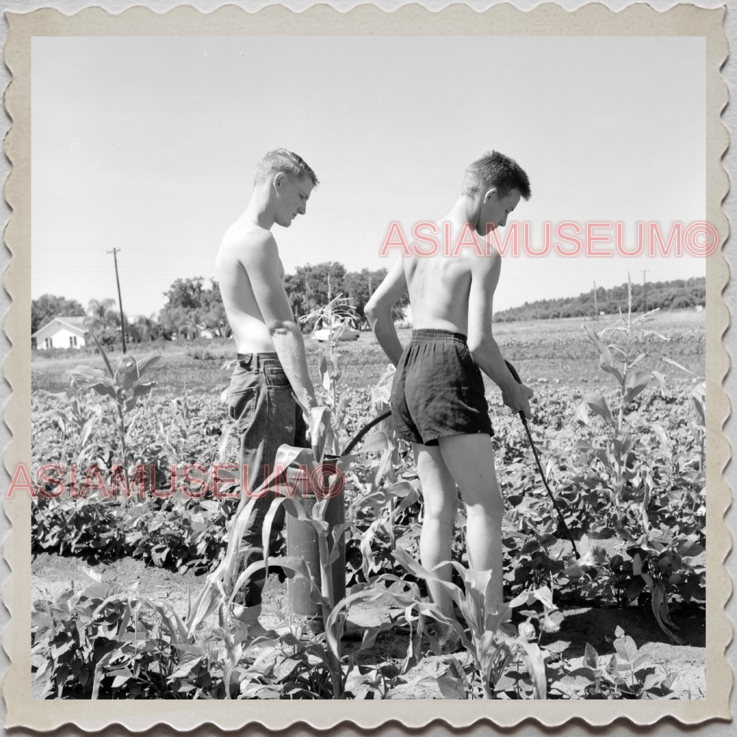 50s POLK COUNTY LAKELAND BARTOW FLORIDA BOYS GARDENING VINTAGE USA Photo 12056