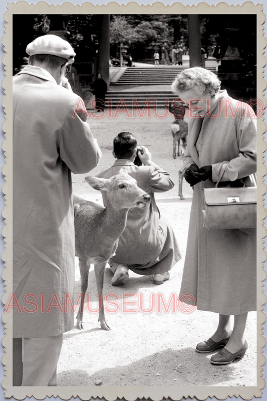 40s WW2 JAPAN TOKYO TODAI JI TEMPLE DEER FEEDING WESTERN WOMEN Old Photo 24704