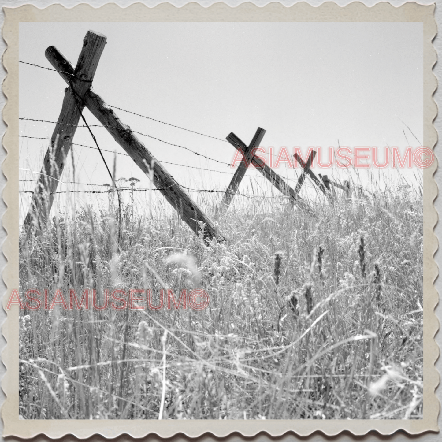 50s AUGUSTA KRONE RANCH COWBOY BARB FENCE VINTAGE OLD USA AMERICA Photo 10094