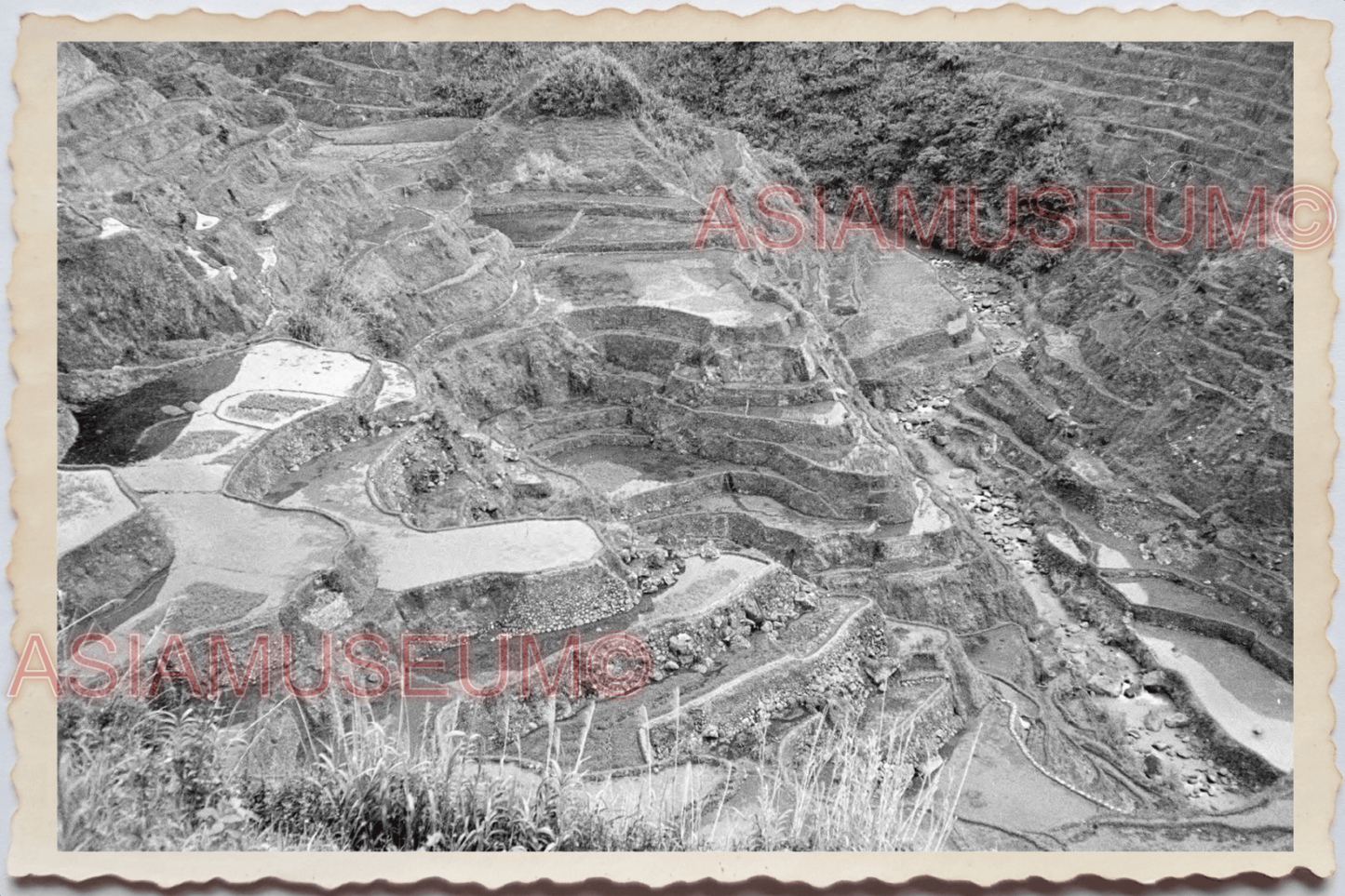 50s PHILIPPINES LUZON IFUGAO BANAUE RICE TERRACE SCENIC VIEW Vintage Photo 24391