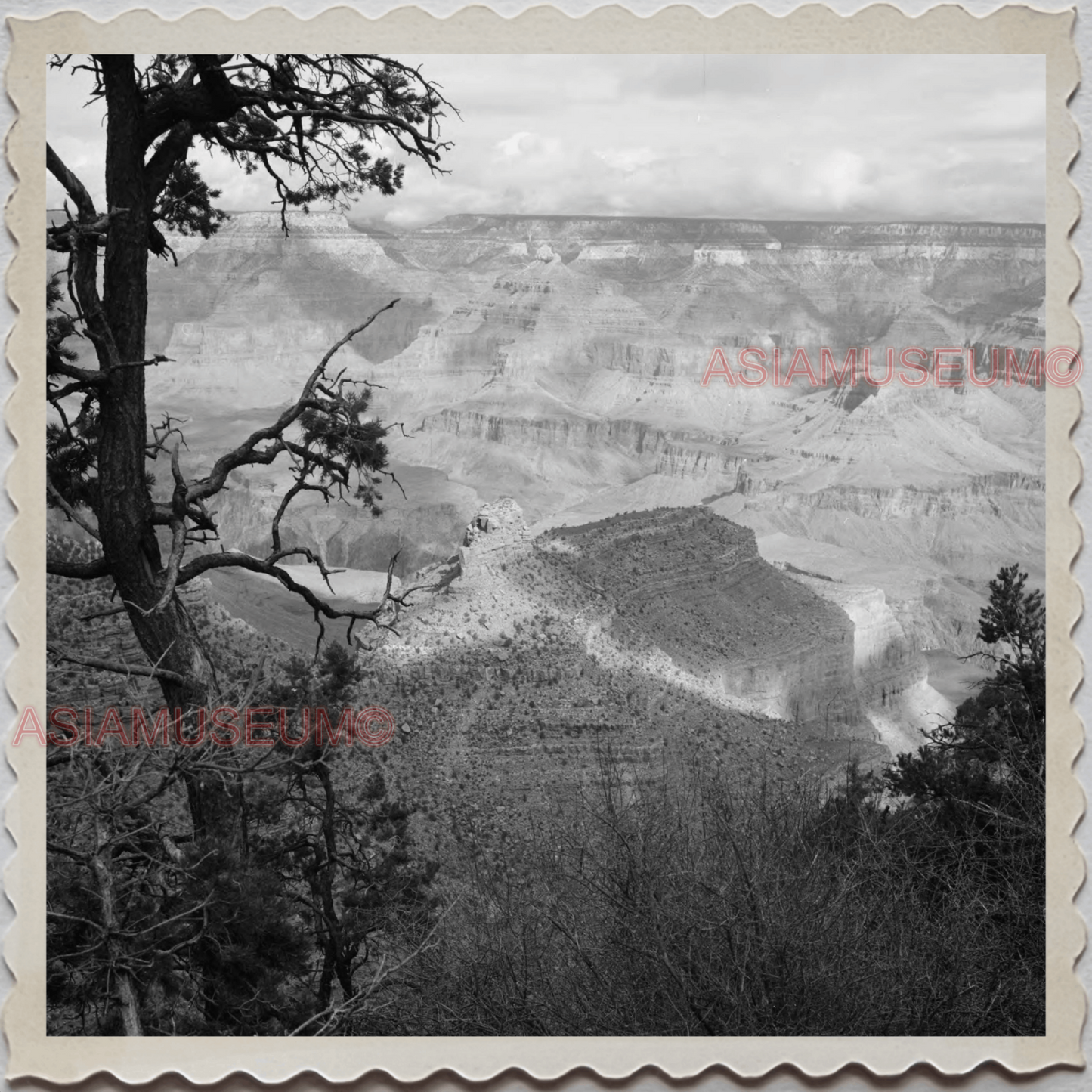 50s GRAND CANYON NATIONAL PARK COLORADO RIVER ARIZONA VIEW OLD BW USA Photo 7590