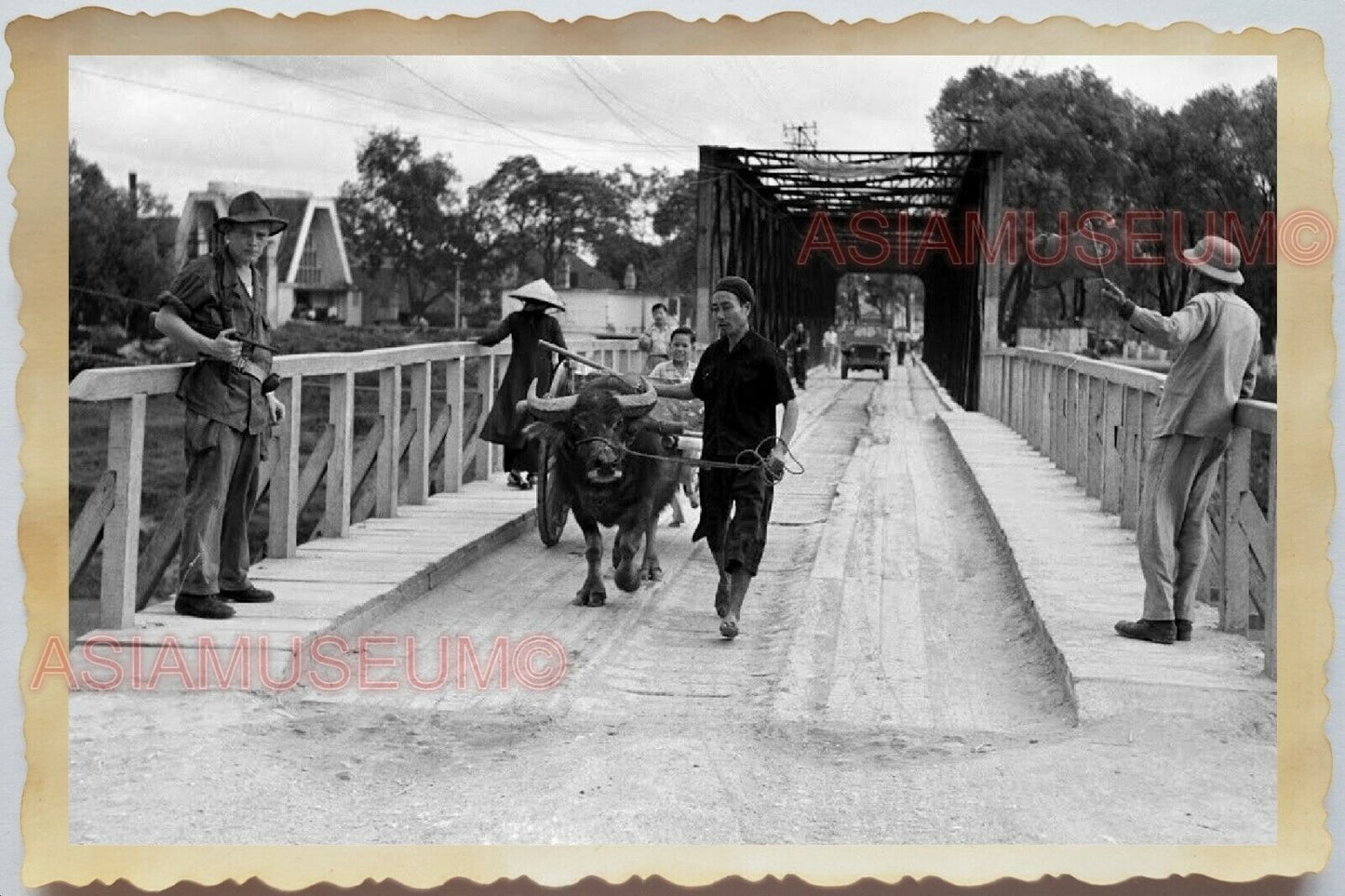 50s Vietnam War Saigon French USA Army Bridge Bull Buffalo  Vintage Photo #972