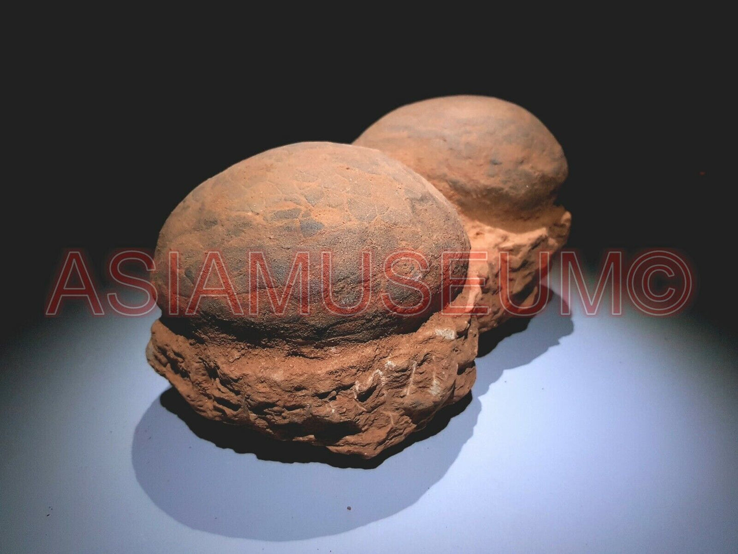 Pair Dinosaur Egg Nest Dendrolithus Hadrosaur Fossil Jurassic World Cretaceous Z