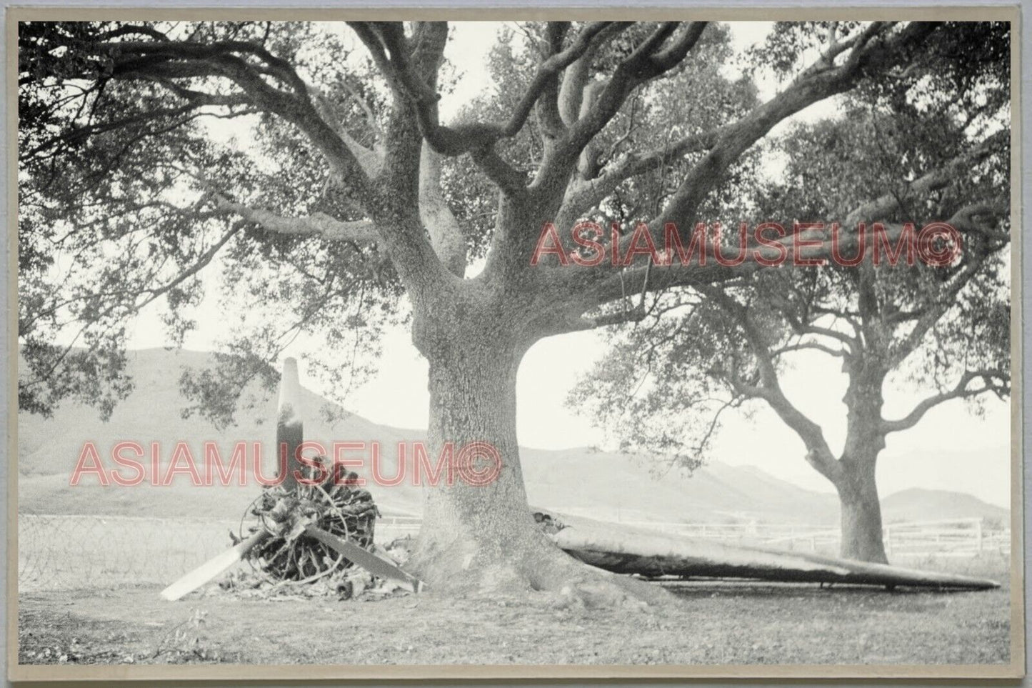 WW2 Down Japanese Aircraft HONG KONG VINTAGE PHOTO POSTCARD RPPC 1162 香港舊照片明信片