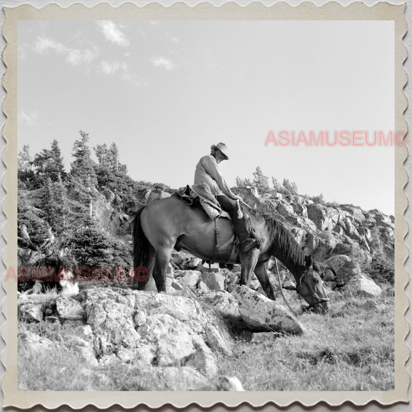 50s PARK COUNTY LIVINGSTON MONTANA YELLOWSTONE HORSE MAN VINTAGE USA Photo 8385