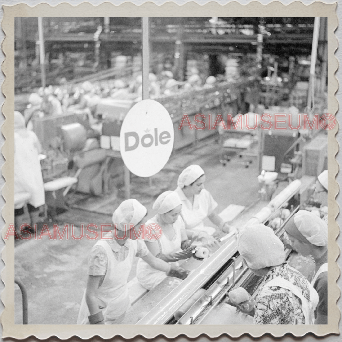 50s WAHIAWA HONOLULU HAWAII DOLE WOMEN PLANTATION WORKER VINTAGE USA Photo 9307