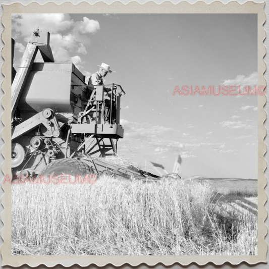 50s BIG HORN WYOMING LOVELL GREYBULL COWLEY FARMER WHEAT VINTAGE USA Photo 8523