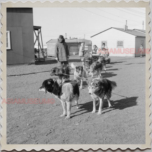 50s UTQIAGVIK NORTH SLOPE BARROW ALASKA ARCTIC DOG SLED TEAM OLD USA Photo 8301