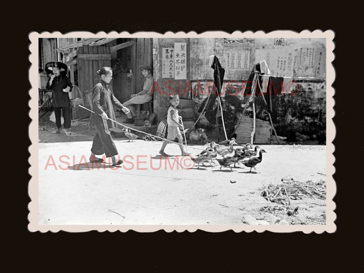 40's Women Lady Boy Herds Duck Sha Tau Kok Old Hong Kong Photograph 香港旧照片 #3074