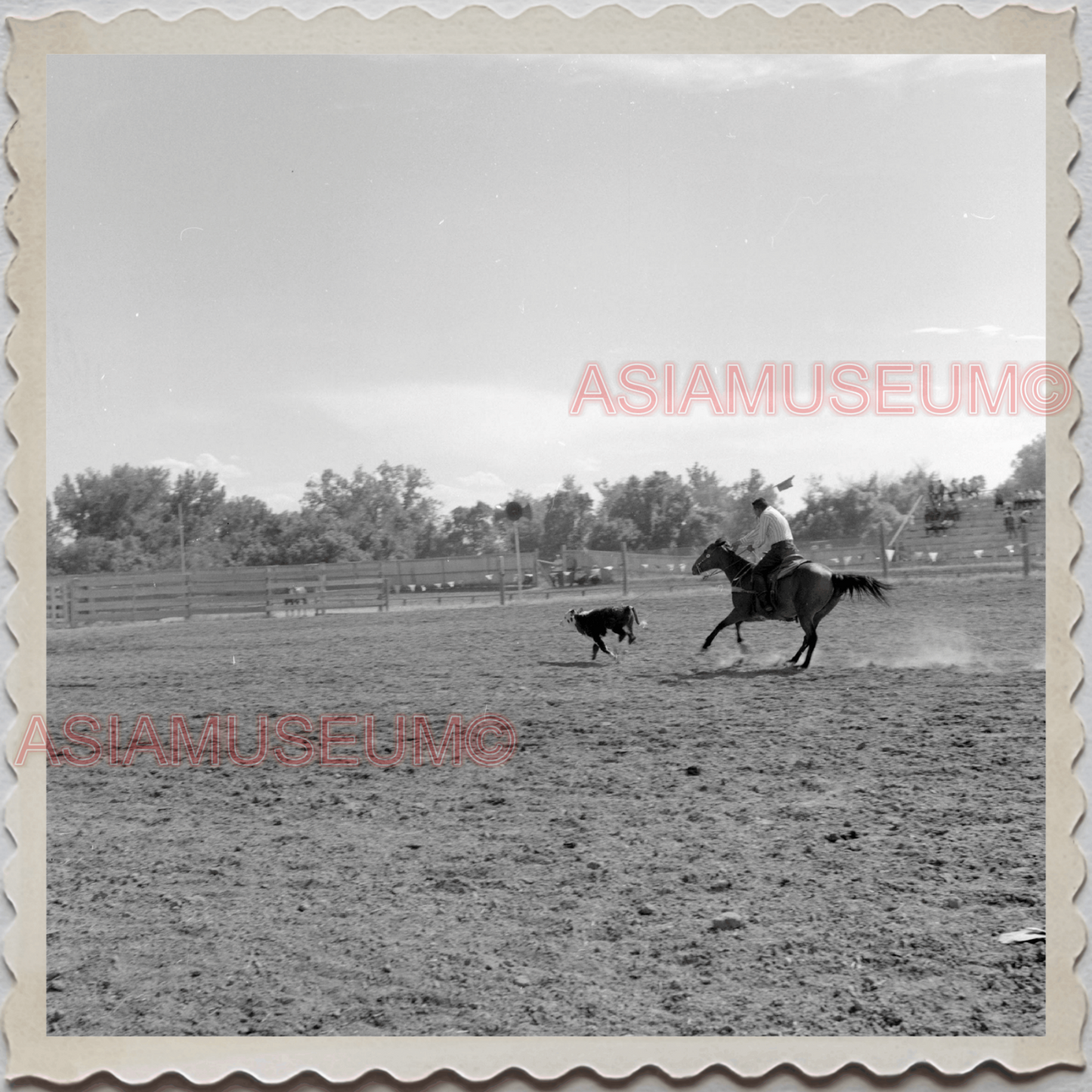 50s CROW TRIBE BIG HORN COUNTY MONTANA AGENCY RODEO COW VINTAGE USA Photo 8597