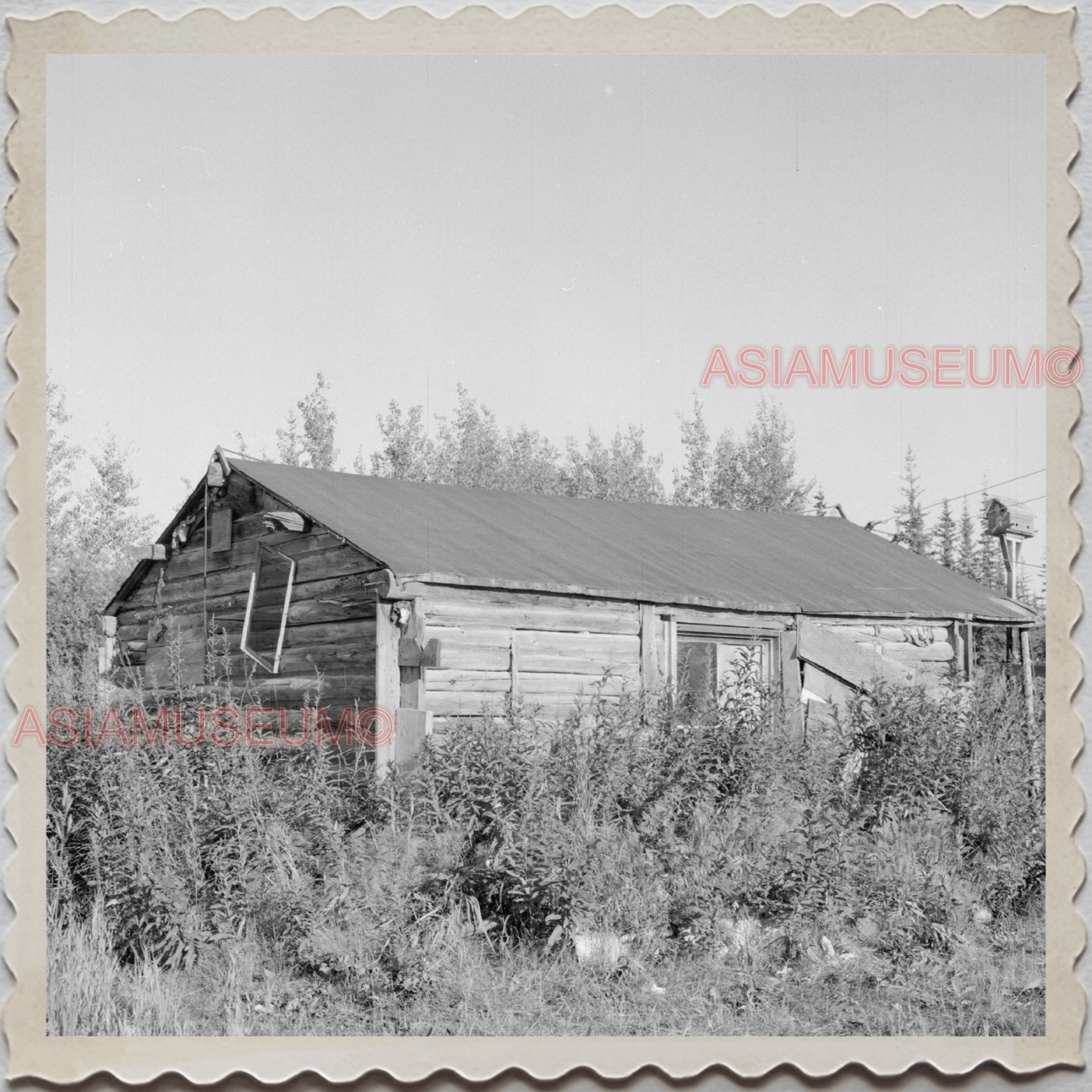 50s FAIRBANKS NORTH STAR BOROUGH ALASKA LOG CABIN HUT VINTAGE OLD USA Photo 8085