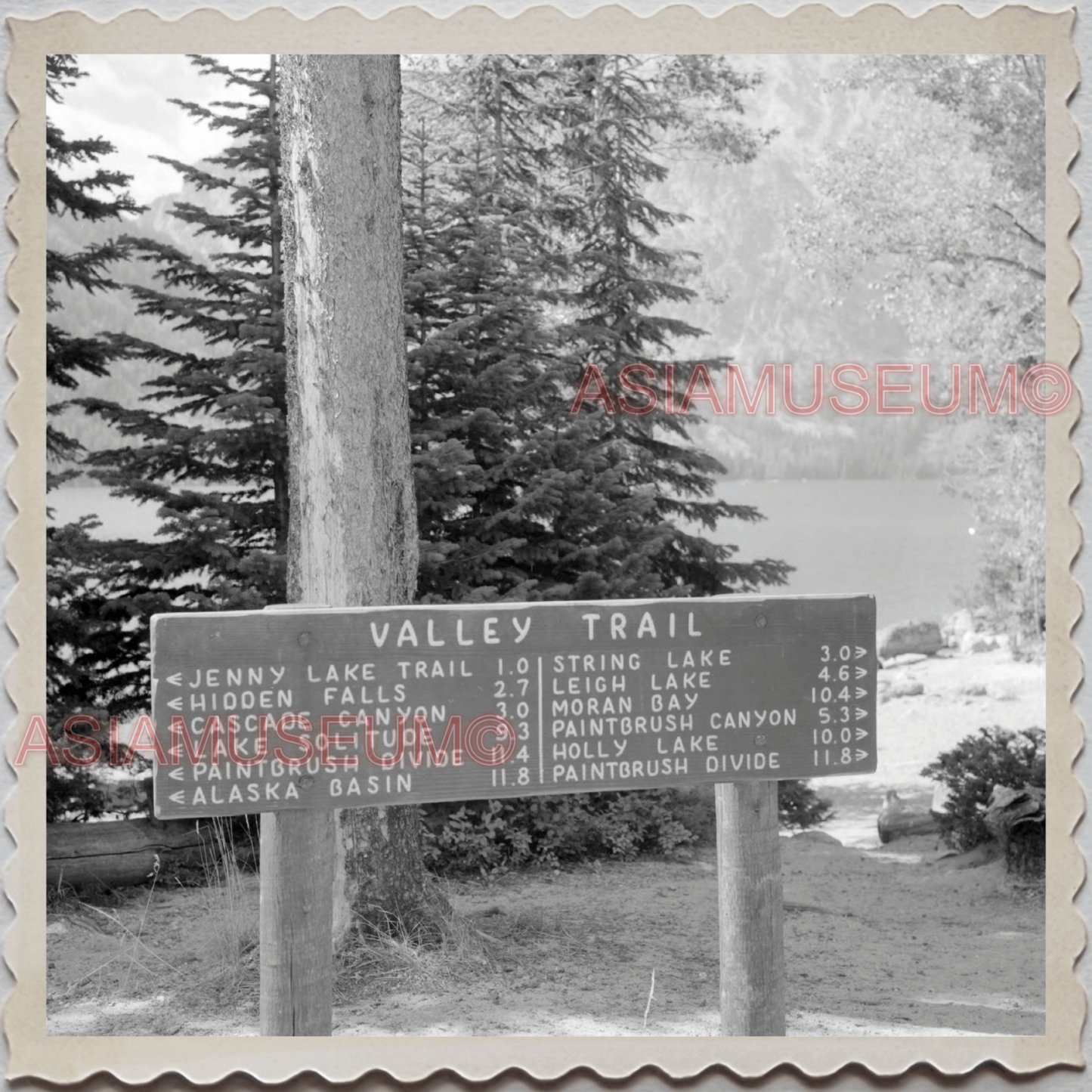 50s GRAND TETON NATIONAL PARK JACKSON HOLE WYOMING SIGN VINTAGE USA Photo 8743