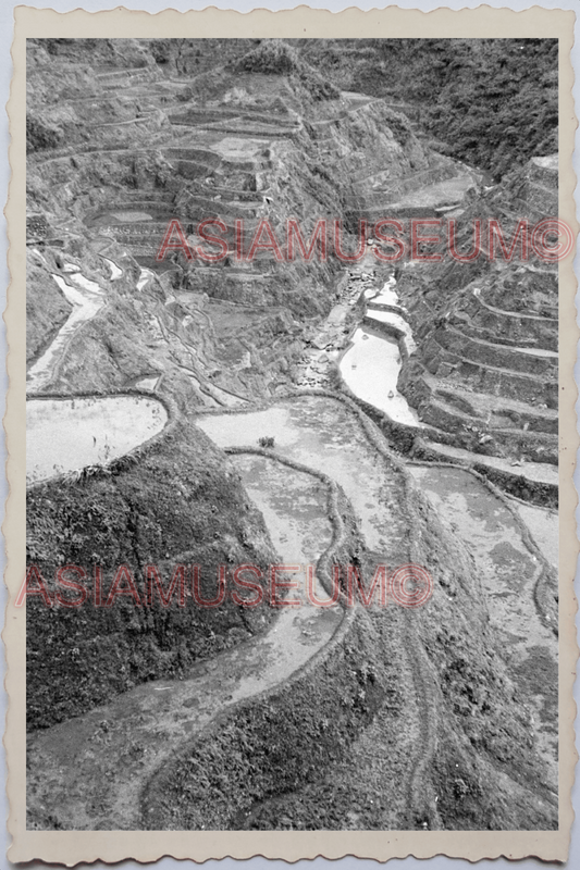 50s PHILIPPINES IFUGAO LUZON RICE TERRACE FIELD MOUNTAIN ww2 Vintage Photo 24402